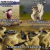 chatumare xd