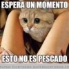 Cacherin_2020