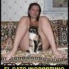 gatoncio